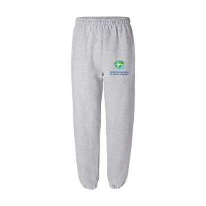 Pantalon gris adulte